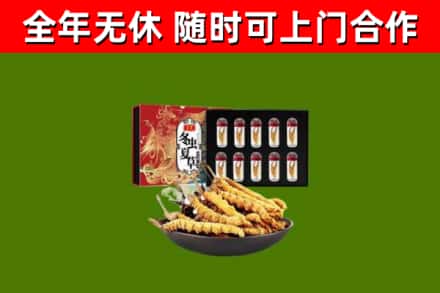 闸北烟酒回收冬虫夏草礼盒.jpg